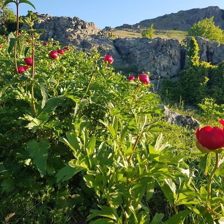 Pensiunea Agroturistica Angheliki Tulcea Exterior foto