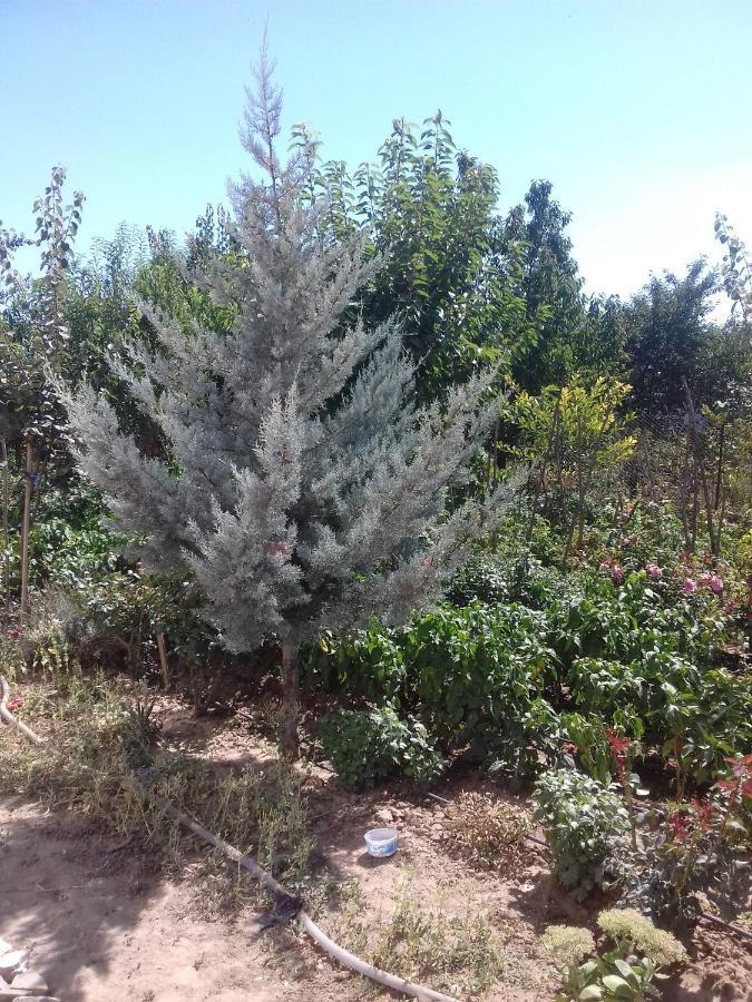 Pensiunea Agroturistica Angheliki Tulcea Exterior foto