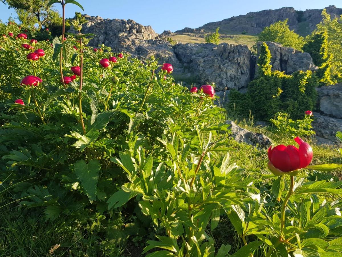 Pensiunea Agroturistica Angheliki Tulcea Exterior foto