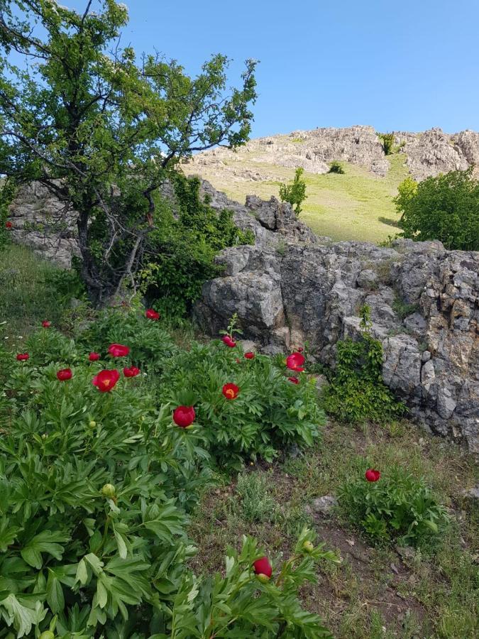 Pensiunea Agroturistica Angheliki Tulcea Exterior foto